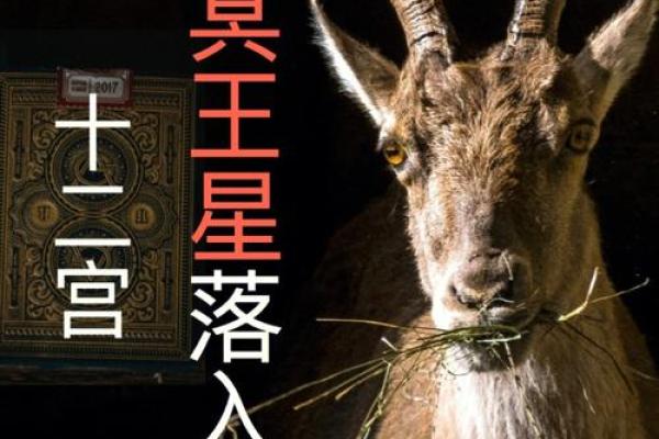 阴阳命格:探秘你命运背后的神秘力量与智慧 阴阳命格:探秘你命运背后的神秘力量与智慧