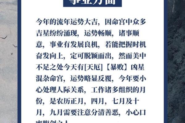 属猪命格解析:探寻猪年出生者的命理特征与人生运势 属猪命格解析:探寻猪年出生者的命理特征与人生运势