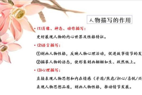 心海一命与零命的深度比较:理解角色的内涵与魅力 心海一命与零命的深度比较:理解角色的内涵与魅力