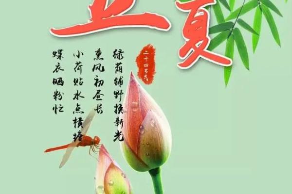 2023立夏后如何转运,开启你的顺风顺水人生! 2023立夏后如何转运,开启你的顺风顺水人生!