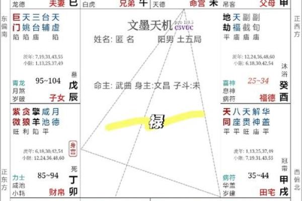 探秘命盘:哪些特征预示着财富的到来? 探秘命盘:哪些特征预示着财富的到来?