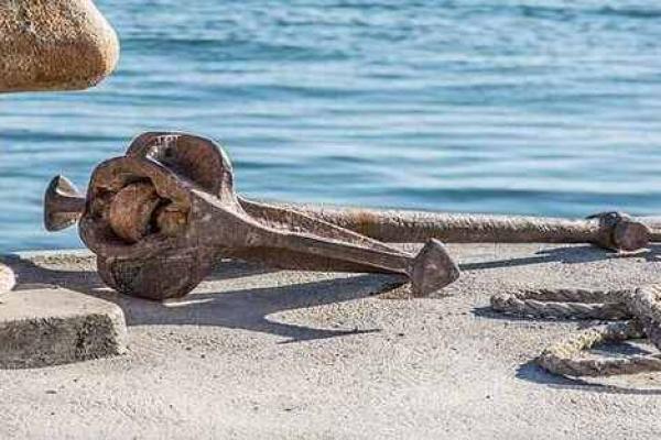 火命人的最佳宠物选择:什么动物最能相伴助运? 火命人的最佳宠物选择:什么动物最能相伴助运?