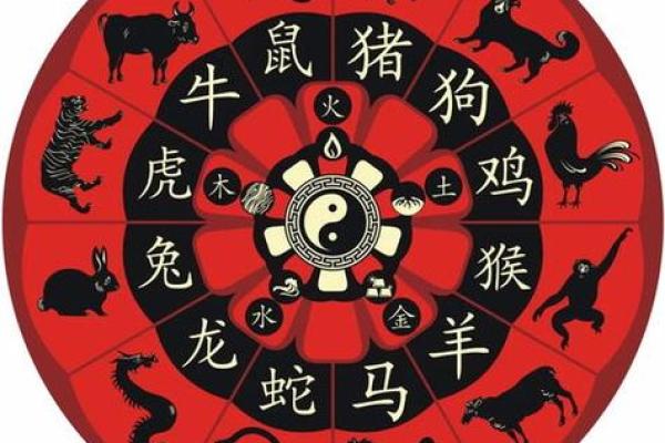 1984年出生的鼠年命理解析及其缺失的五行元素 1984年出生的鼠年命理解析及其缺失的五行元素