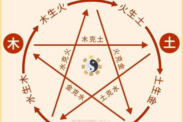 解密05属鸡的命运:五行与性格的奇妙关联 解密05属鸡的命运:五行与性格的奇妙关联