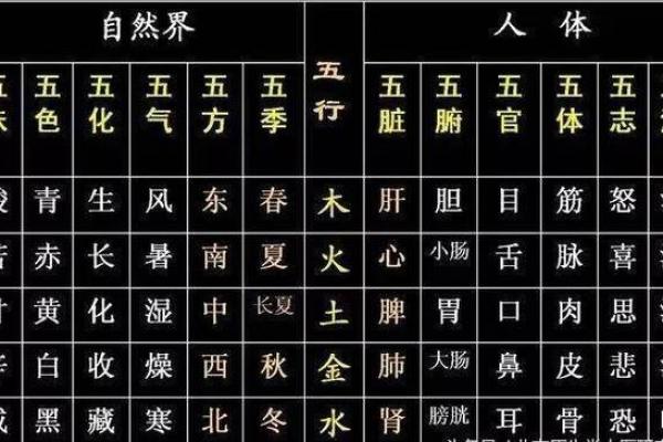 解密05属鸡的命运:五行与性格的奇妙关联 解密05属鸡的命运:五行与性格的奇妙关联