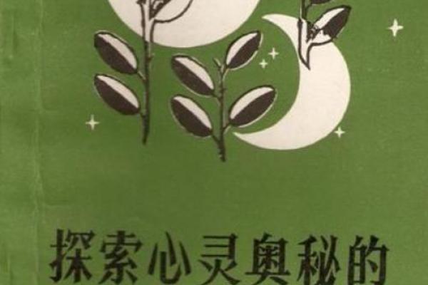 揭开美国命格研究的神秘面纱:探索命运与未来的奥秘 揭开美国命格研究的神秘面纱:探索命运与未来的奥秘