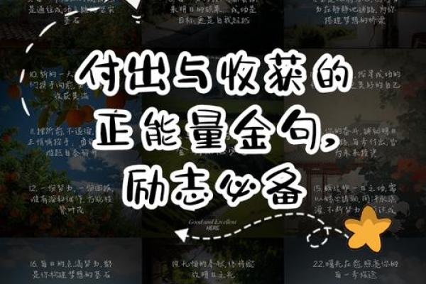 操劳命与劳碌命的区别:生活中的奋斗与追求之路 操劳命与劳碌命的区别:生活中的奋斗与追求之路