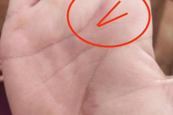 揭开九丑命局的神秘面纱:女命格的命理解析 揭开九丑命局的神秘面纱:女命格的命理解析