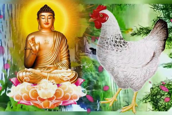 45年属鸡:了解你的命理,开启人生新篇章! 45年属鸡:了解你的命理,开启人生新篇章!