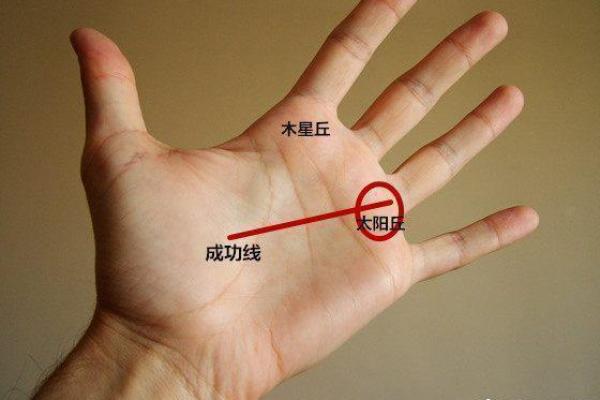 解密天机:如何通过命理了解命运的轨迹与选择 解密天机:如何通过命理了解命运的轨迹与选择