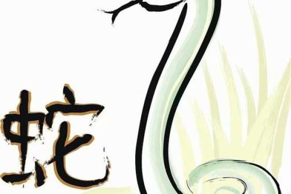 属蛇寅时出生的命运解析:探寻辰蛇命中的秘密与潜能 属蛇寅时出生的命运解析:探寻辰蛇命中的秘密与潜能