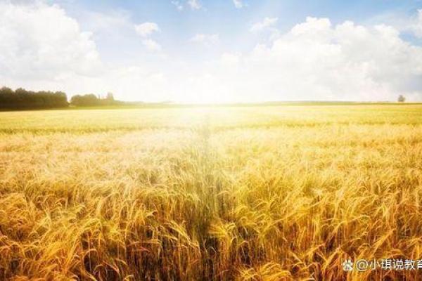 秋天出生的人命运解析:探索金秋的神秘与转折 秋天出生的人命运解析:探索金秋的神秘与转折