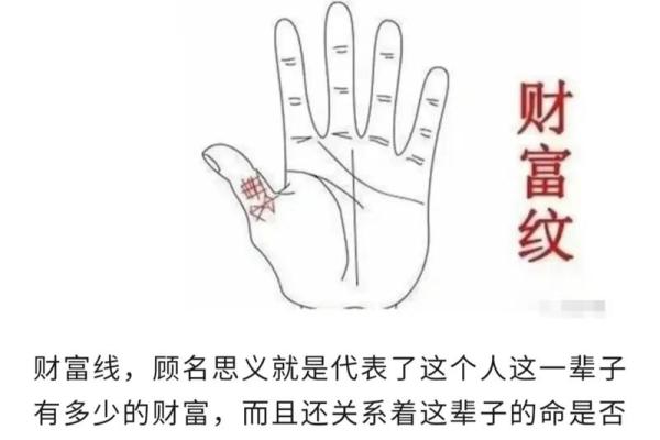 揭秘断掌发财的命理之谜:你的手相揭示了什么? 揭秘断掌发财的命理之谜:你的手相揭示了什么?