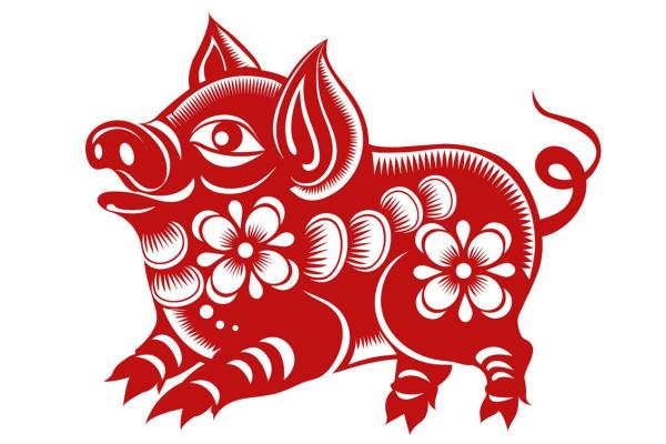 1995年属猪女的命运与性格剖析:揭开她们的神秘面纱 1995年属猪女的命运与性格剖析:揭开她们的神秘面纱