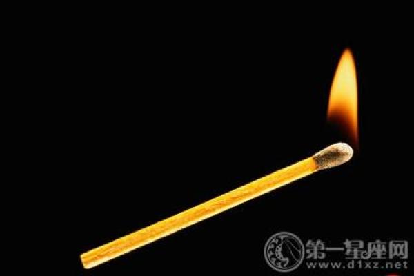 金命东墙不能挂什么?深度解析命理与家居风水的关系 金命东墙不能挂什么?深度解析命理与家居风水的关系