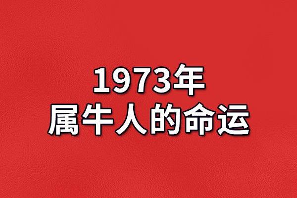 驾驭蓝天的命运:开飞机的人与运势探秘 驾驭蓝天的命运:开飞机的人与运势探秘