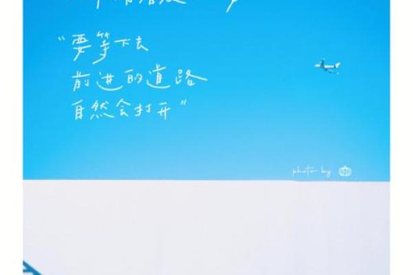 驾驭蓝天的命运:开飞机的人与运势探秘 驾驭蓝天的命运:开飞机的人与运势探秘