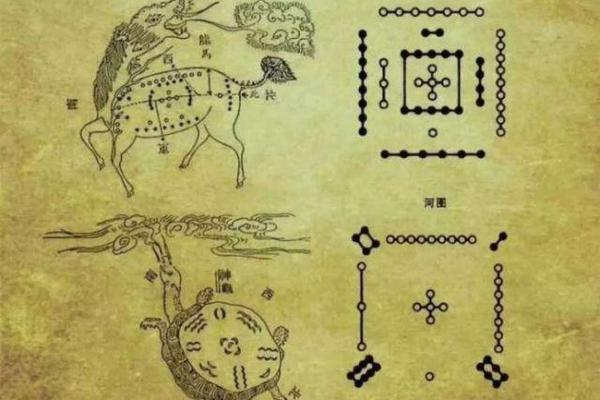 77年的蛇:揭秘其水命与木命的奥秘 77年的蛇:揭秘其水命与木命的奥秘