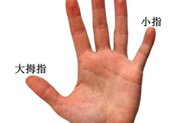 手指中指长短与命运的微妙关系探秘 手指中指长短与命运的微妙关系探秘