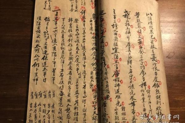 男命无知女命乖,命理中的深奥哲学探讨 男命无知女命乖,命理中的深奥哲学探讨