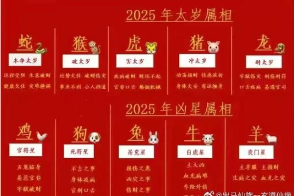 1966年属相属马,马年之人命运与性格解析 1966年属相属马,马年之人命运与性格解析