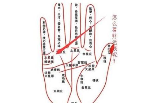 探索命理:如何根据命格选择婚姻,实现财运增长 探索命理:如何根据命格选择婚姻,实现财运增长