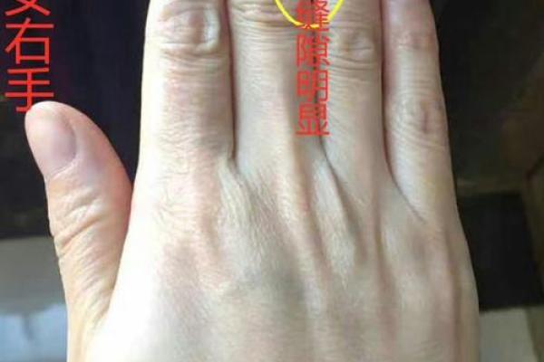 女人手相中那些能带来福命的特征 女人手相中那些能带来福命的特征