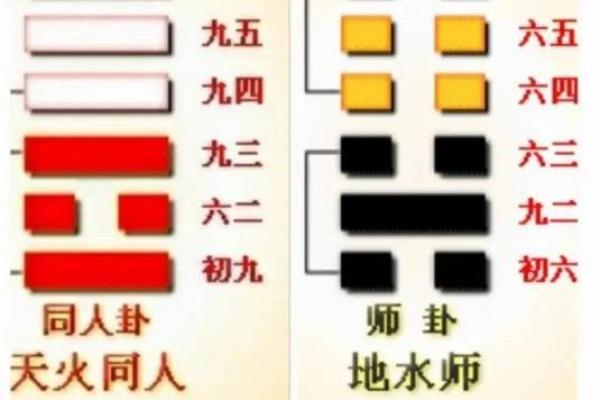 水命易经卦象解析:揭示水命人的命运与未来 水命易经卦象解析:揭示水命人的命运与未来