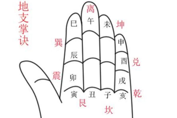 通过手指掐算属相,揭秘你的命运与人生轨迹! 通过手指掐算属相,揭秘你的命运与人生轨迹!