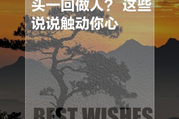 了解命运,探寻内心:什么心操控了你的一生? 了解命运,探寻内心:什么心操控了你的一生?