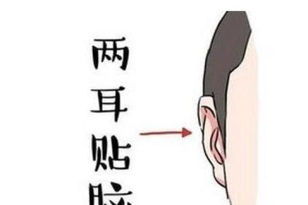 耳垂的秘密:揭示富贵命的隐藏特征与生活智慧 耳垂的秘密:揭示富贵命的隐藏特征与生活智慧