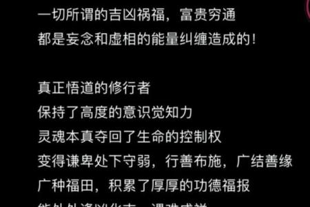 揭秘命理中的气命：探索生命的能量与智慧