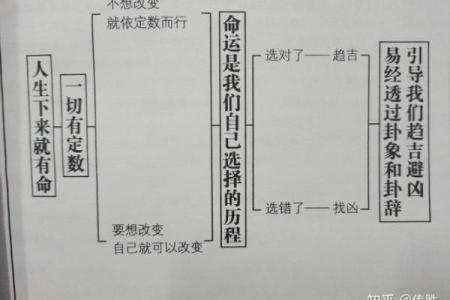 命运决定：这些女人为何选择不结婚的原因解析