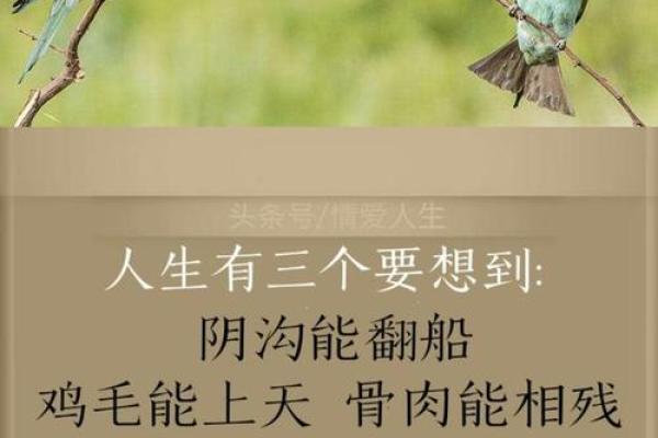 87年与2017年的命运:时间的印记与人生的选择 87年与2017年的命运:时间的印记与人生的选择