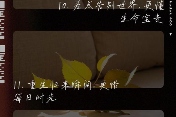 33岁死亡究竟象征着什么命运?解读生命的脆弱与机遇 33岁死亡究竟象征着什么命运?解读生命的脆弱与机遇