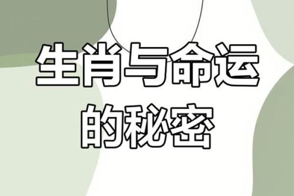 36岁属相与命运的秘密:探究生肖与人生的关系 36岁属相与命运的秘密:探究生肖与人生的关系