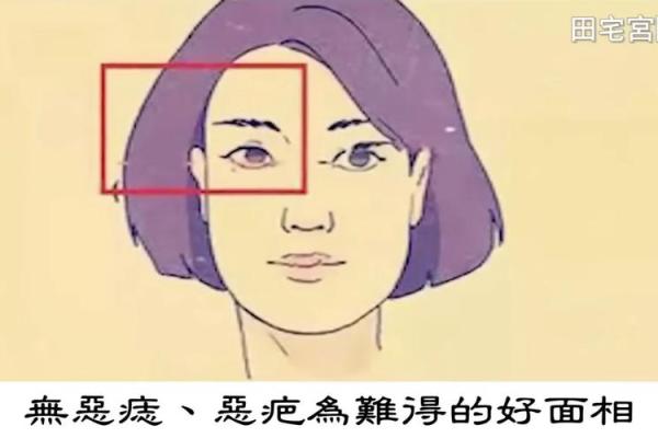 什么面相预示女人财运亨通:揭示贪财命的魅力与特征 什么面相预示女人财运亨通:揭示贪财命的魅力与特征