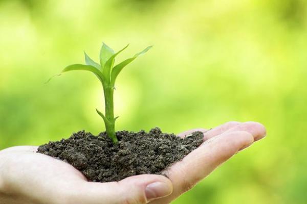 土命之人适合的职业选择:踏实之路开辟新天地 土命之人适合的职业选择:踏实之路开辟新天地