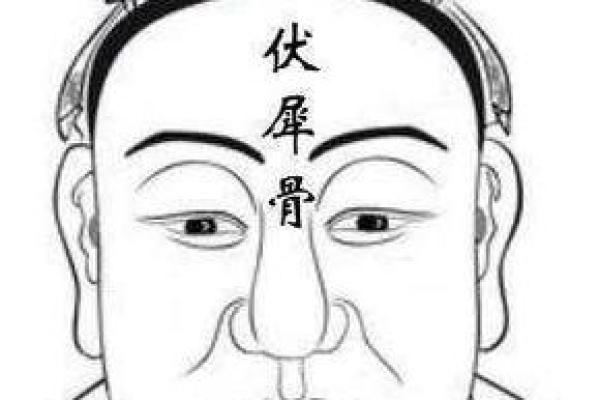 天庭饱满的人,命运之路的秘密与启示 天庭饱满的人,命运之路的秘密与启示