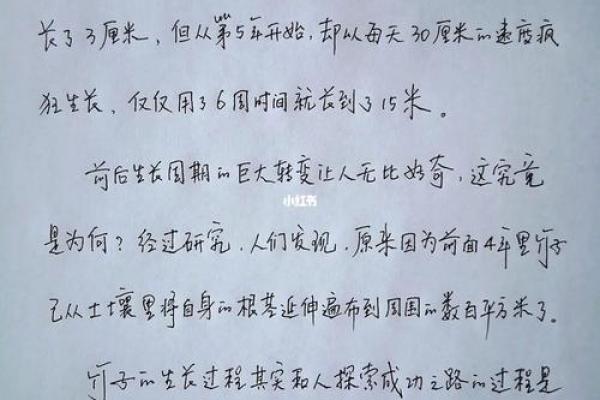 1965年出生的人命运与性格解析:探索不平凡的一生 1965年出生的人命运与性格解析:探索不平凡的一生