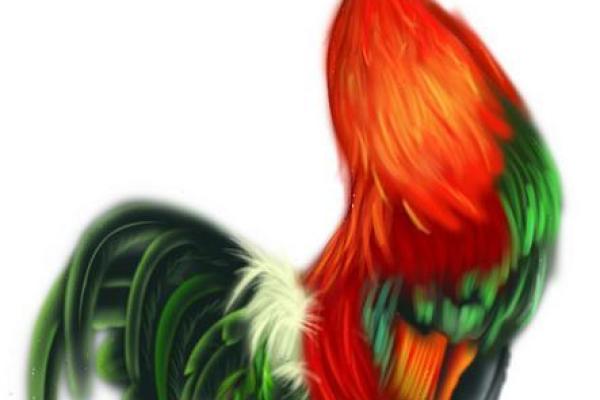 1993年出生的鸡命之人:命运的独特之旅与性格解析 1993年出生的鸡命之人:命运的独特之旅与性格解析