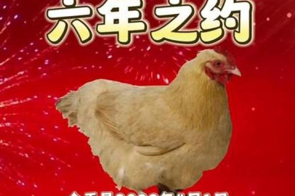 2023年:鸡年命最佳的秘密与生活之道 2023年:鸡年命最佳的秘密与生活之道