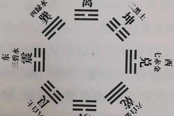 1980年出生者的命卦解析与人生启示 1980年出生者的命卦解析与人生启示