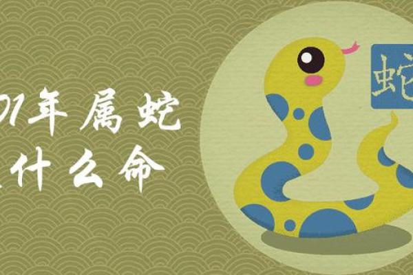 什么蛇什么命:成语中的智慧与人生哲理探秘 什么蛇什么命:成语中的智慧与人生哲理探秘