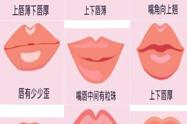 女生嘴巴的形状与命运的秘密:你知道吗? 女生嘴巴的形状与命运的秘密:你知道吗?