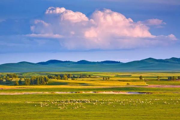 探索男命大运与子女缘分的奥秘 探索男命大运与子女缘分的奥秘