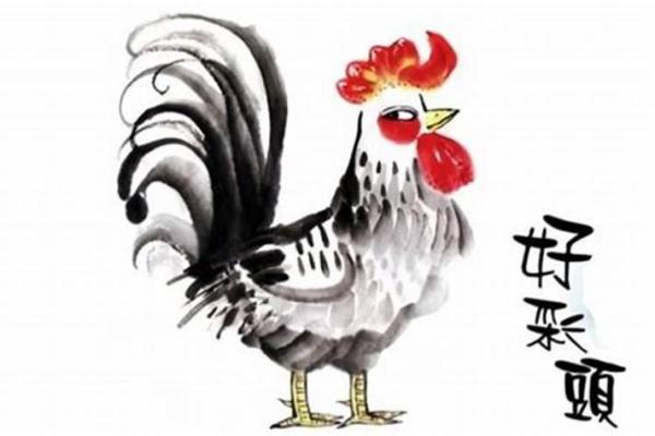 探秘属鸡生肖:八字命理与命运分析 探秘属鸡生肖:八字命理与命运分析