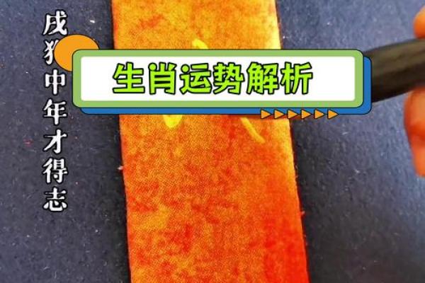 三十女命:探秘生肖中与她们命运息息相关的动物 三十女命:探秘生肖中与她们命运息息相关的动物