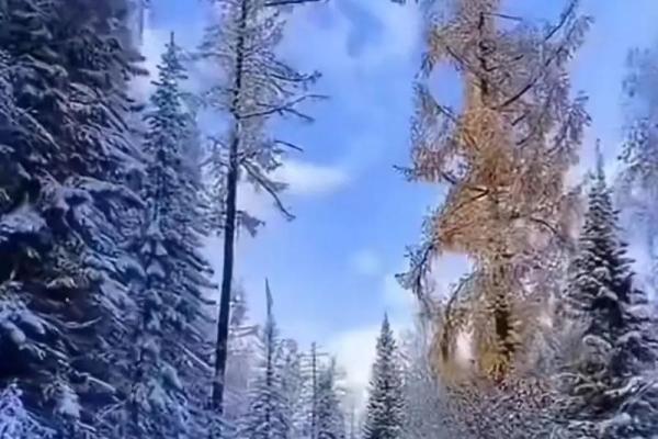 2021冬月十二命理解析:揭秘不同命格的运势与机遇 2021冬月十二命理解析:揭秘不同命格的运势与机遇