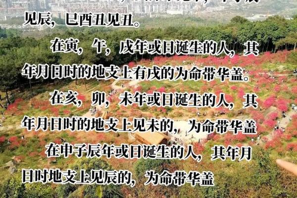 命里缺木的人与哪些命最相配,助你开启人生新篇章! 命里缺木的人与哪些命最相配,助你开启人生新篇章!